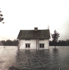 Kemijoen tulva 1966