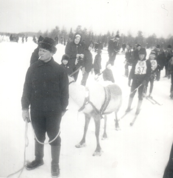 Porokilpailut Kuoskussa, edessä Mikko Marjala (1923–2004)